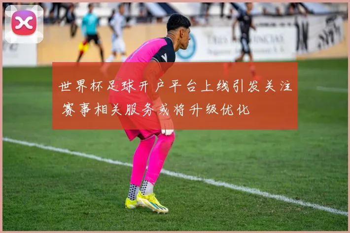 世界杯足球开户平台上线引发关注 赛事相关服务或将升级优化