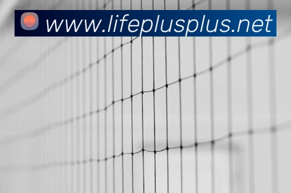 世界杯平台官网登录品牌故事