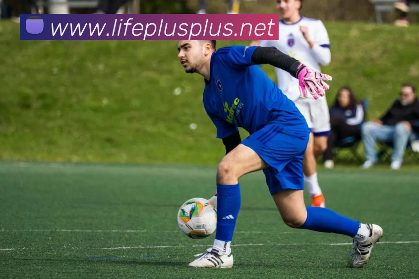 世界杯平台官网登录服务体系